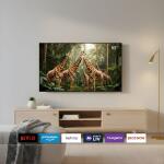 55 Inch Android Smart TV